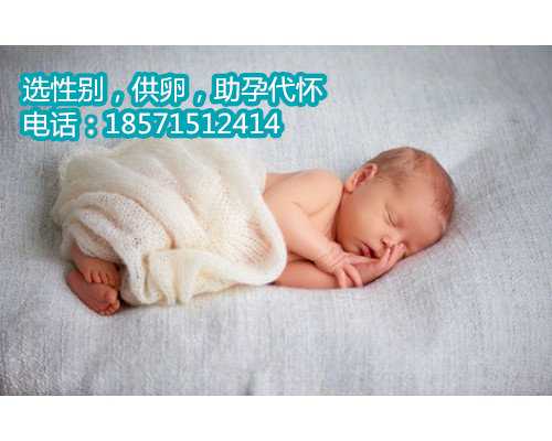 探索上海试管婴儿市场：费用与流程解析