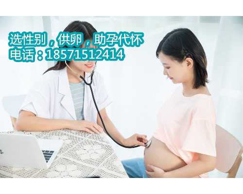 郑州试管包成功医院排名top（附2023年费用预估和成功率）