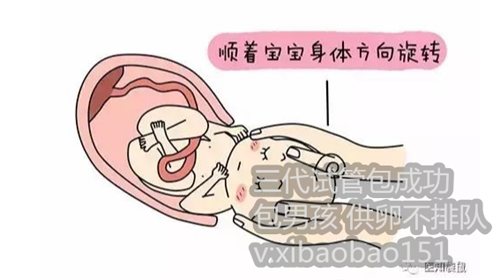 南京做代孕的价格,广东试管成功率高的医院