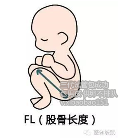 重庆试管代生代生,南京哪家做试管婴儿比较好